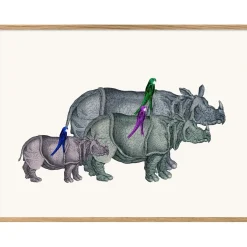 The Dybdahl - Plakat 30x40 cm. - Rhinos and Birds - Papir