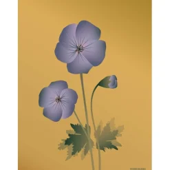 VISSEVASSE - Geranium plakat, amber - 50x70 cm