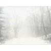 VISSEVASSE - Peregrination plakat 50 x 70 cm